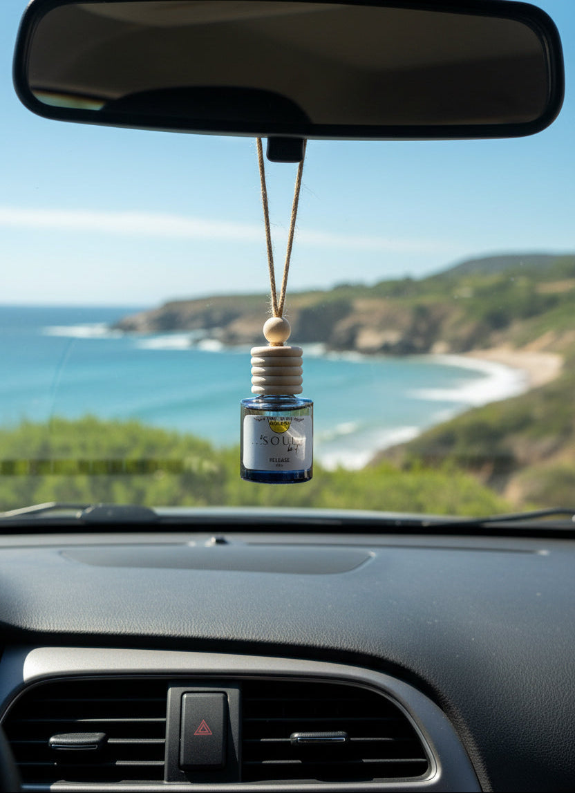 ...& soul be it 8ml Car Diffuser